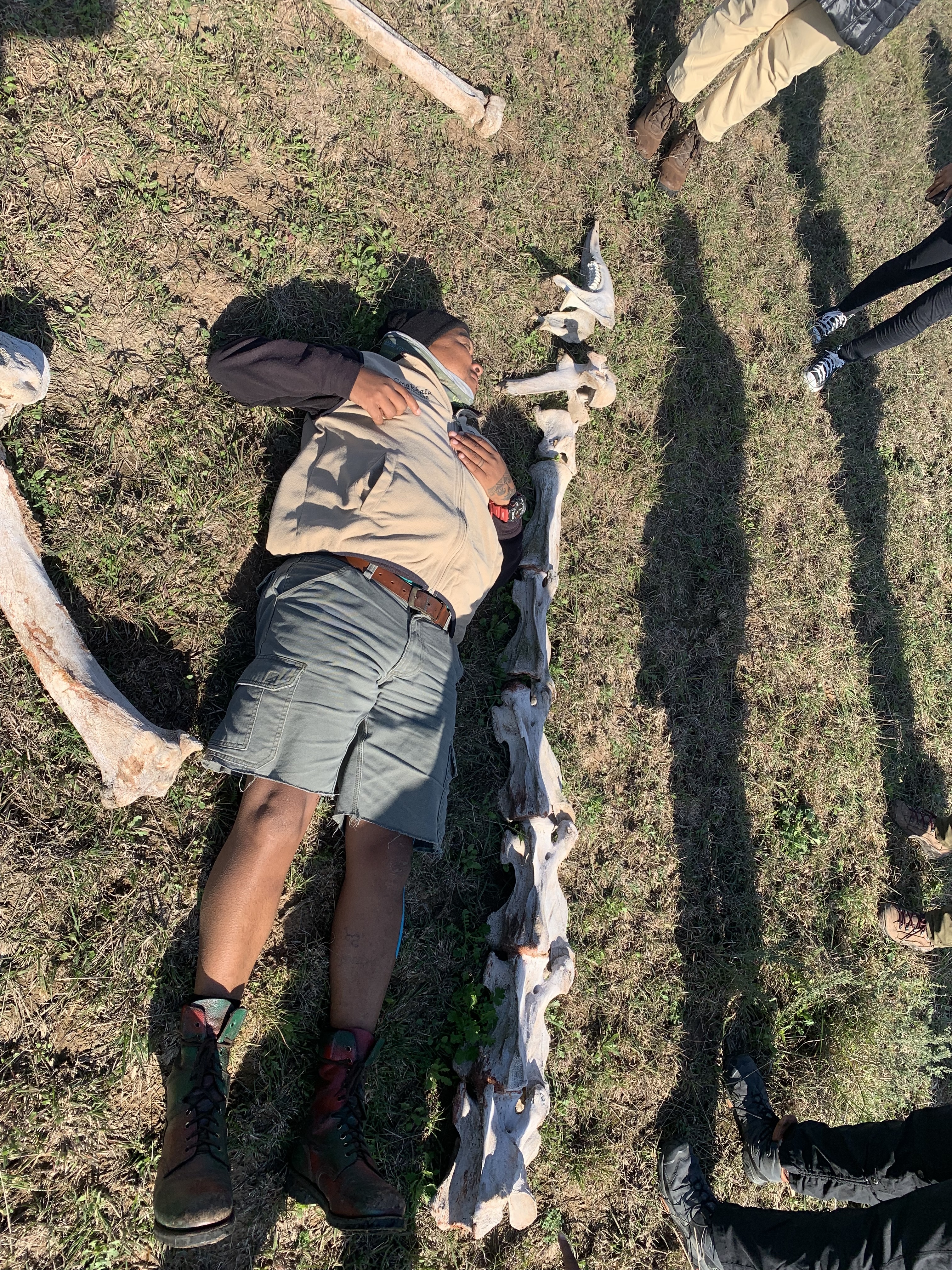 Ranger comparing body scale with giraffe bones